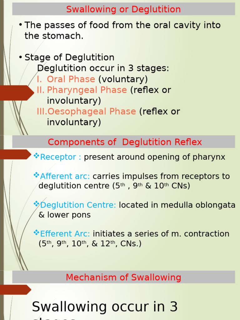 Understanding Swallowing Phases and Mechanism | PDF