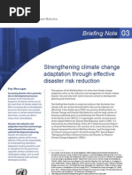 Climate Change Adaptation Through Effective Disaster Risk Reduction