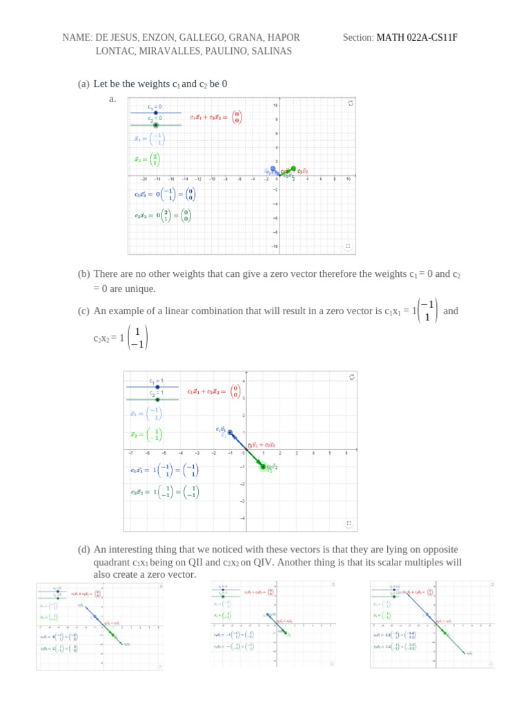 Discussion 5. 3 Linear Combination | PDF