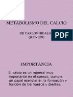 Metabolismo Del Calcio