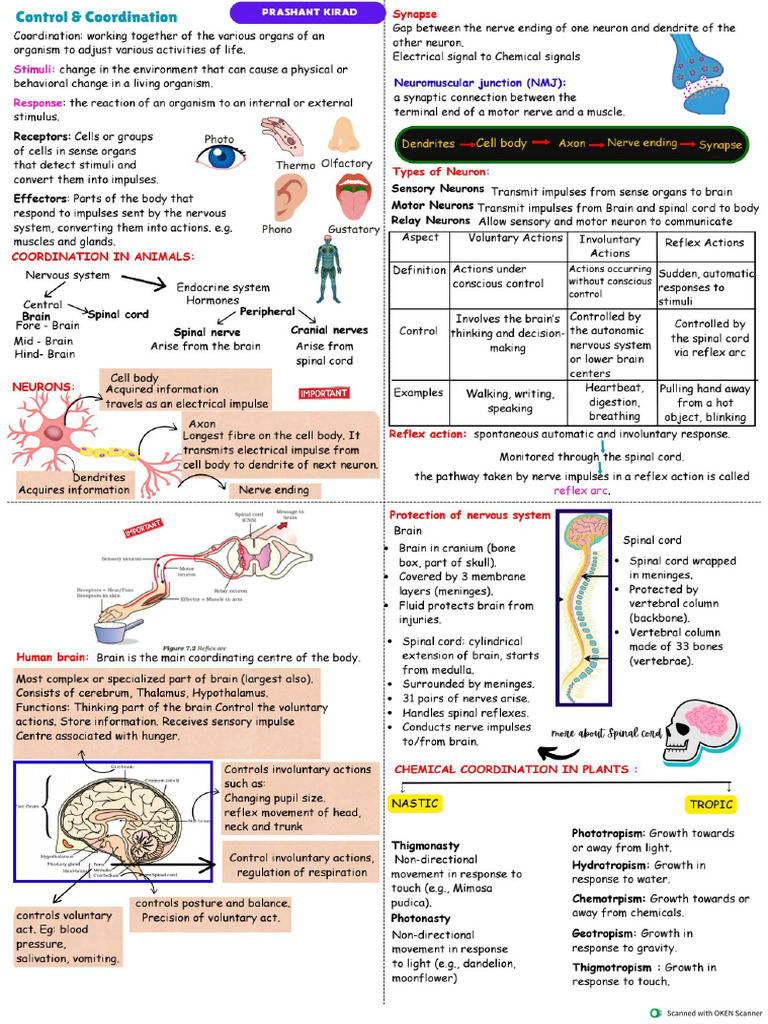 Biology CH 2 Cheat Notes?? | PDF