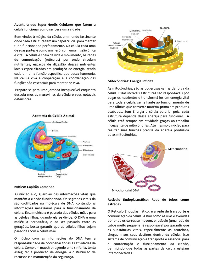 Celulópolis - A Cidade Celular | PDF | Célula (Biologia) | Citoplasma, image size:768x1024