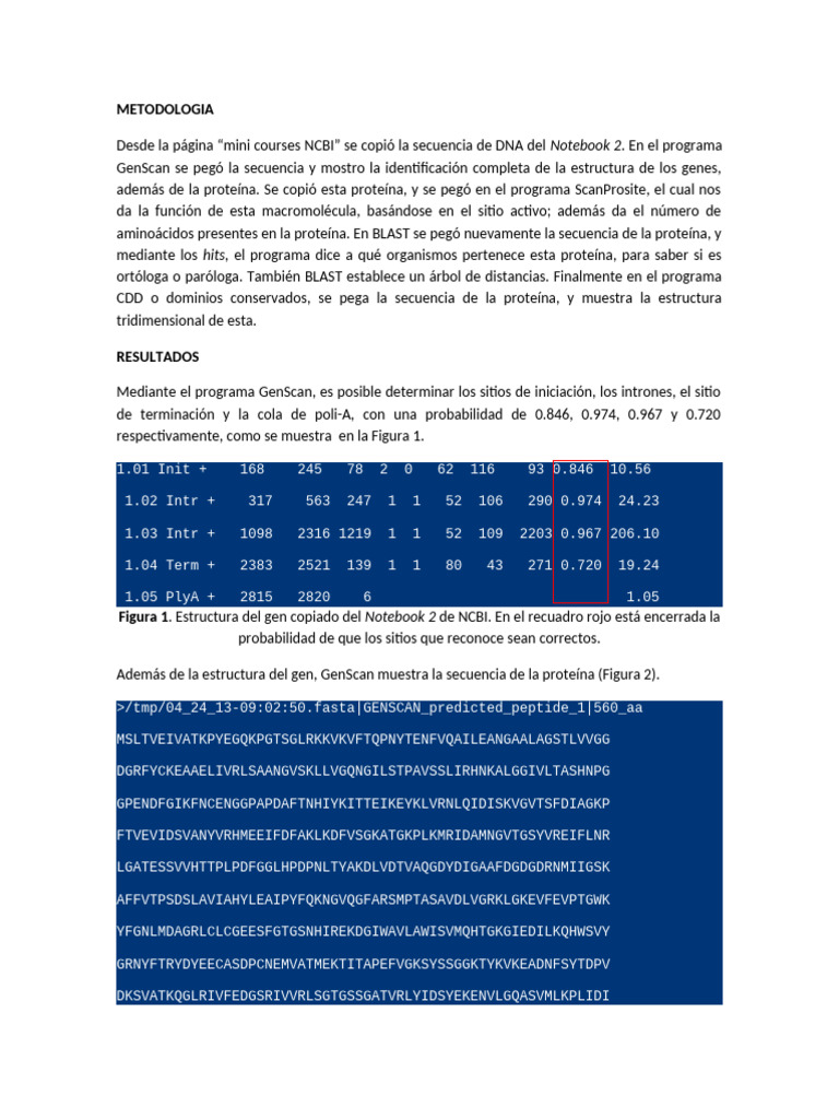 Info 5 Angi | PDF | Gene | Proteínas