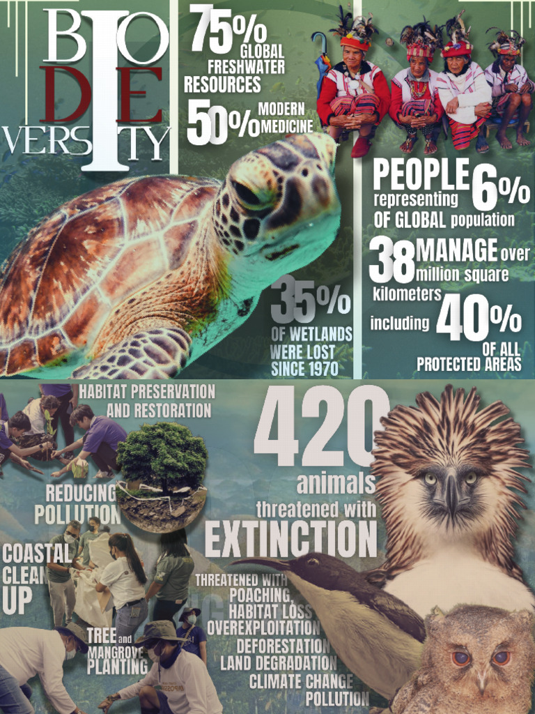 Sts Visual Aid Brochure Compressed | PDF