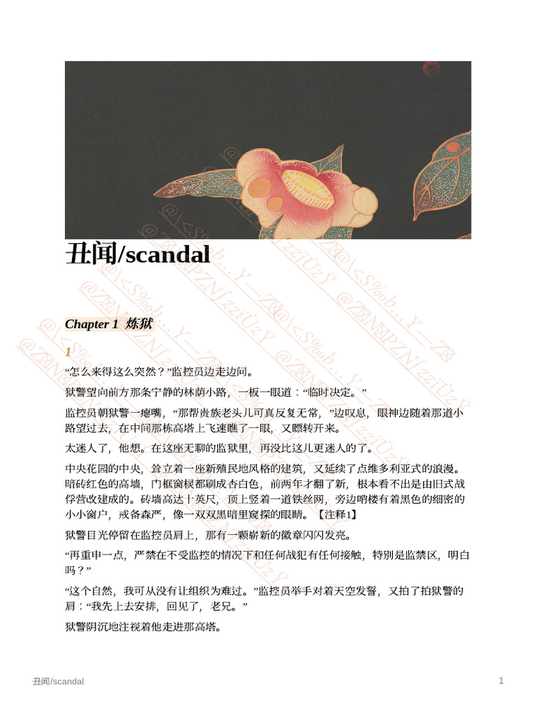 丑闻scandal【禁二传】 | PDF, image size:768x1024