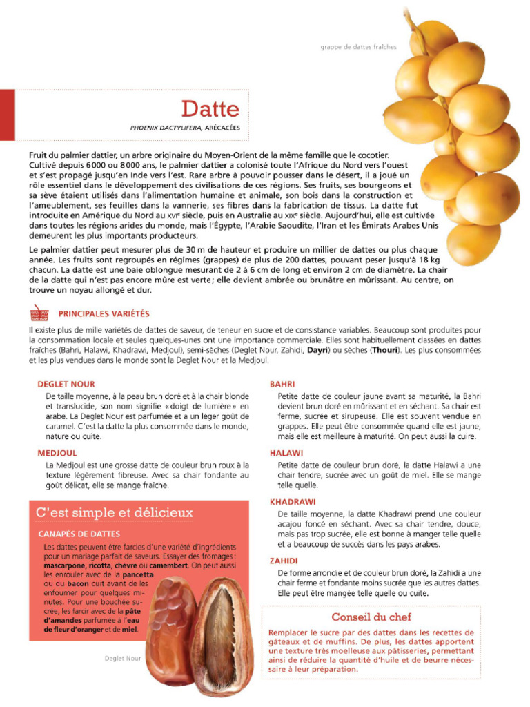 Datte | PDF