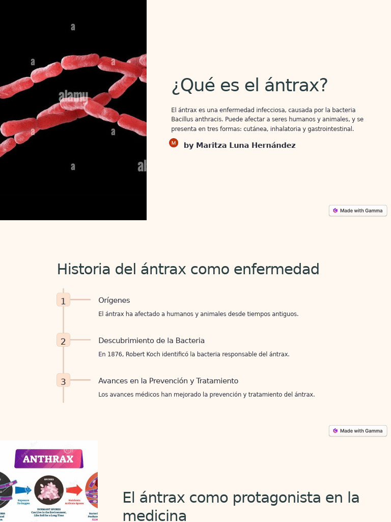 Que Es El Antrax | PDF | Ántrax | Bioterrorismo