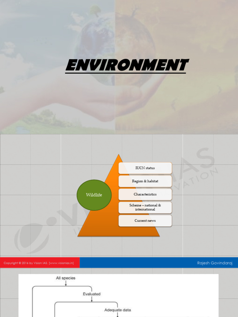 Endangered Species Conservation Overview | PDF | Rhinoceros