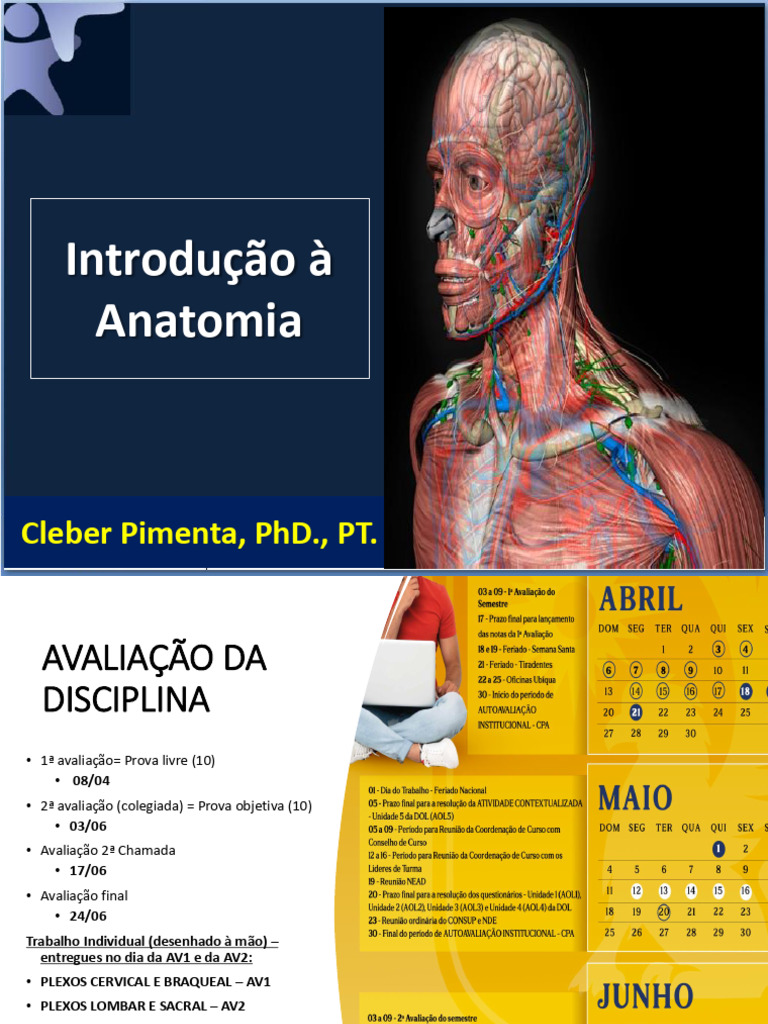 Anatomia: Estruturas e Movimentos | PDF | Anatomia dos primatas ...
