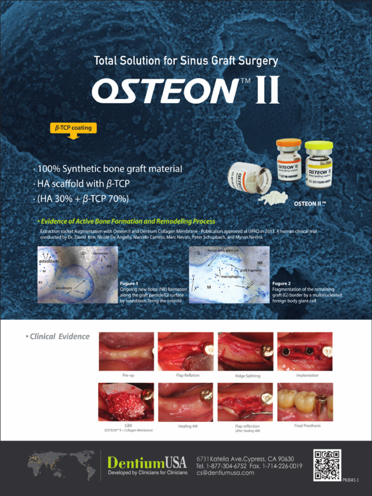 Osteon II | PDF