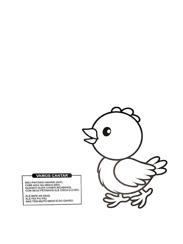 Pinto | PDF