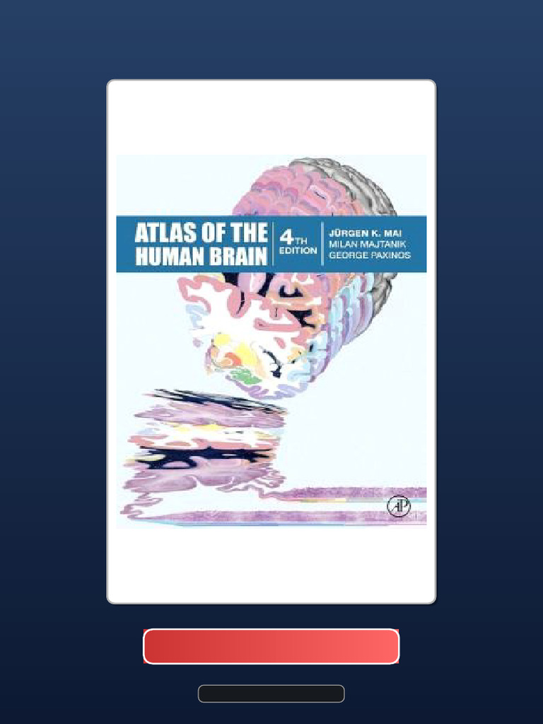 Atlas of The Human Brain 4th Edition Test Bank Available Instantly ...