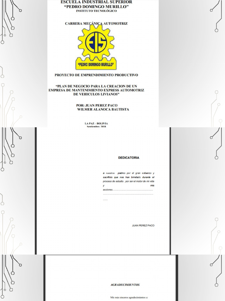 Proyecto Final de Emprendieminto | PDF