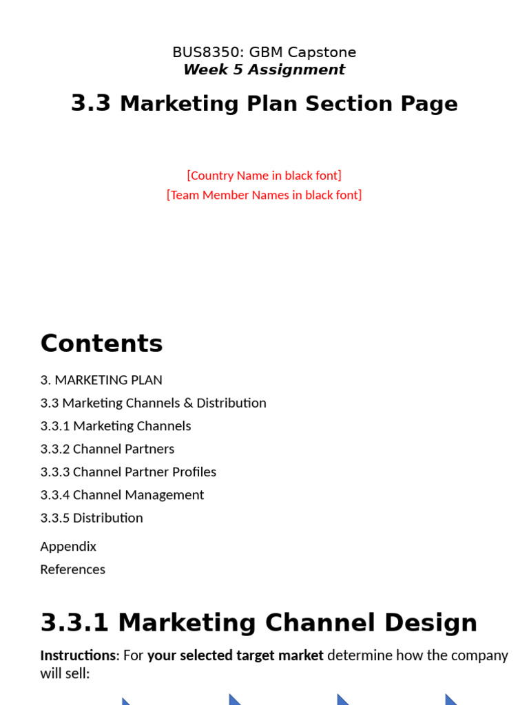 Marketing Channel Strategies Overview | PDF | Marketing | Retail