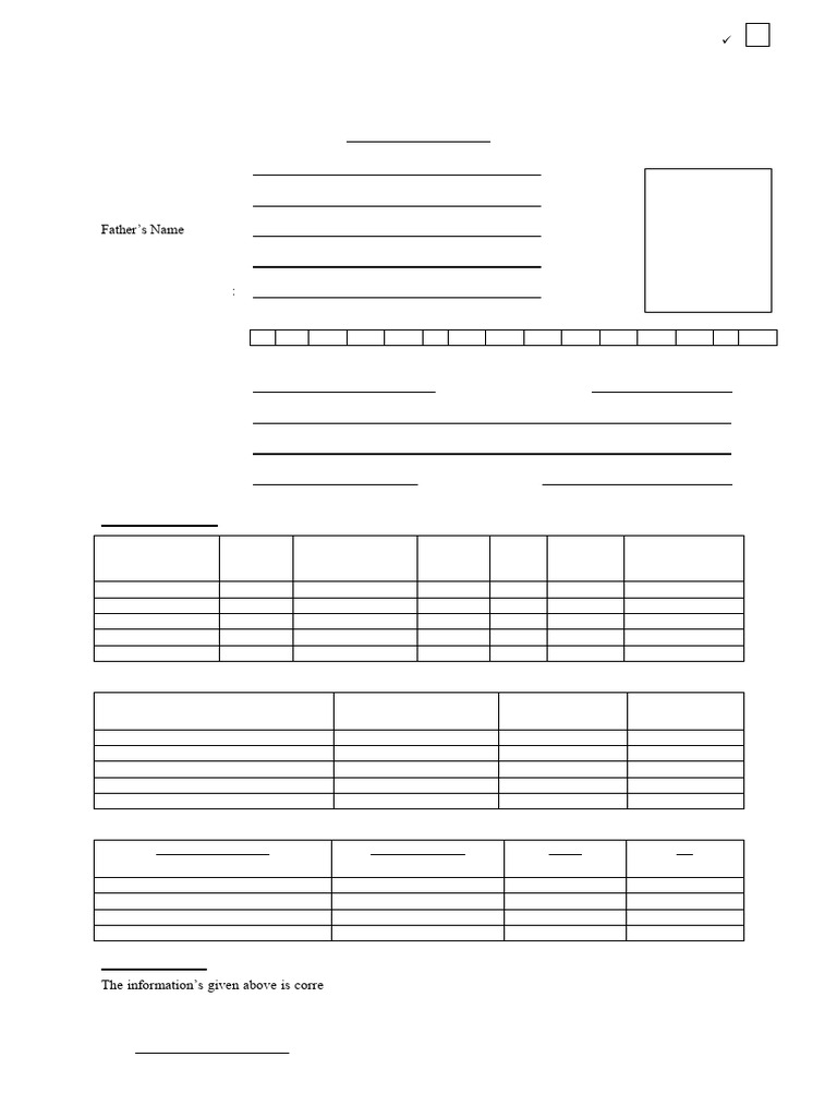 Government Job Application Form | PDF