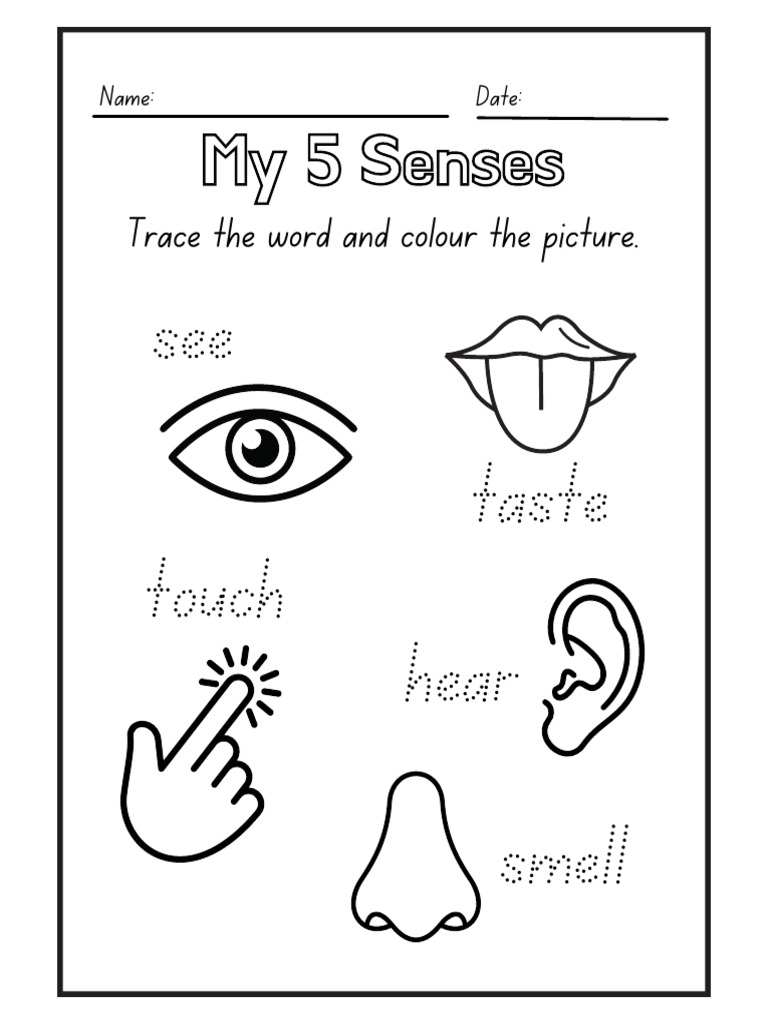 Black and White Kindergarten 5 Senses Science Worksheet | PDF