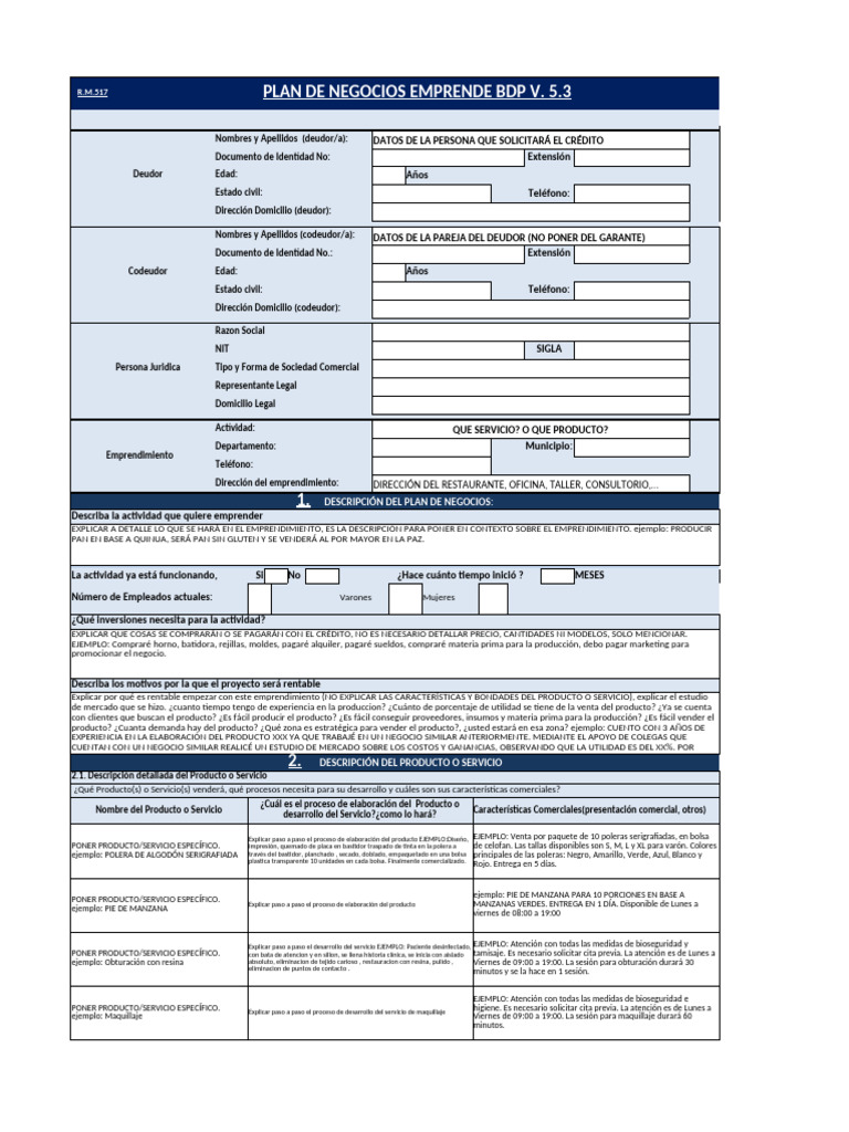 Plan de Negocios Emprende Joven BDP - Focreb | PDF | Producto (Negocio ...