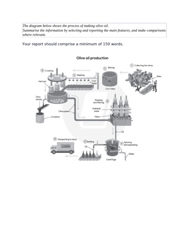Olive Oil Production Process Explained | PDF