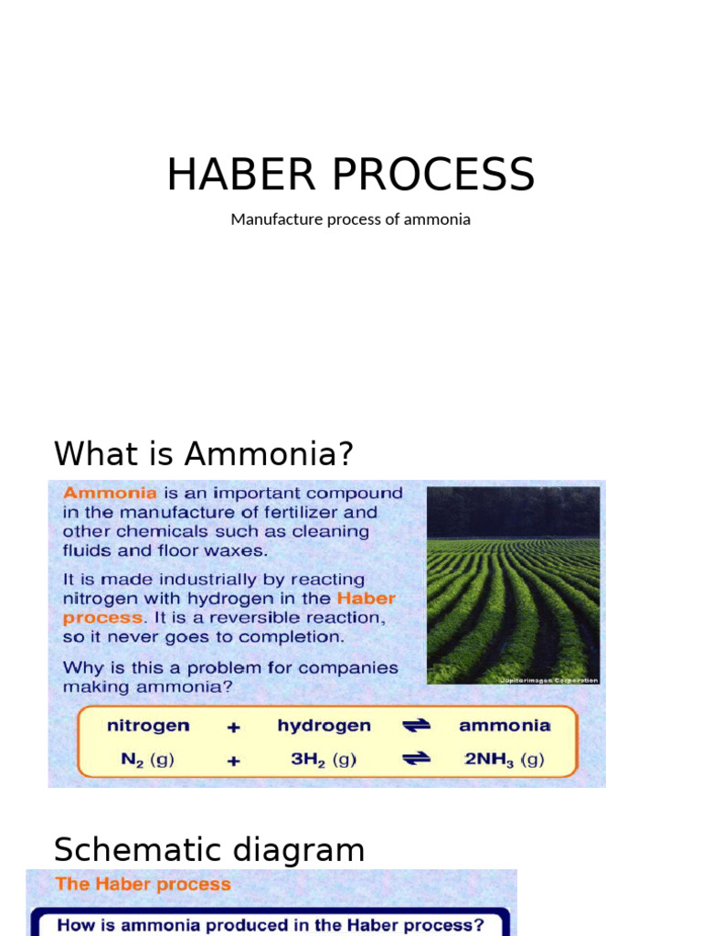 Haber Process | PDF