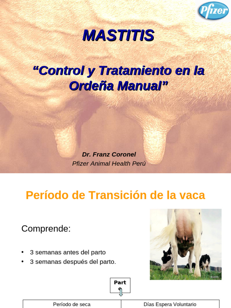 control-de-mastitis-en-vacas-lecheras-pdf