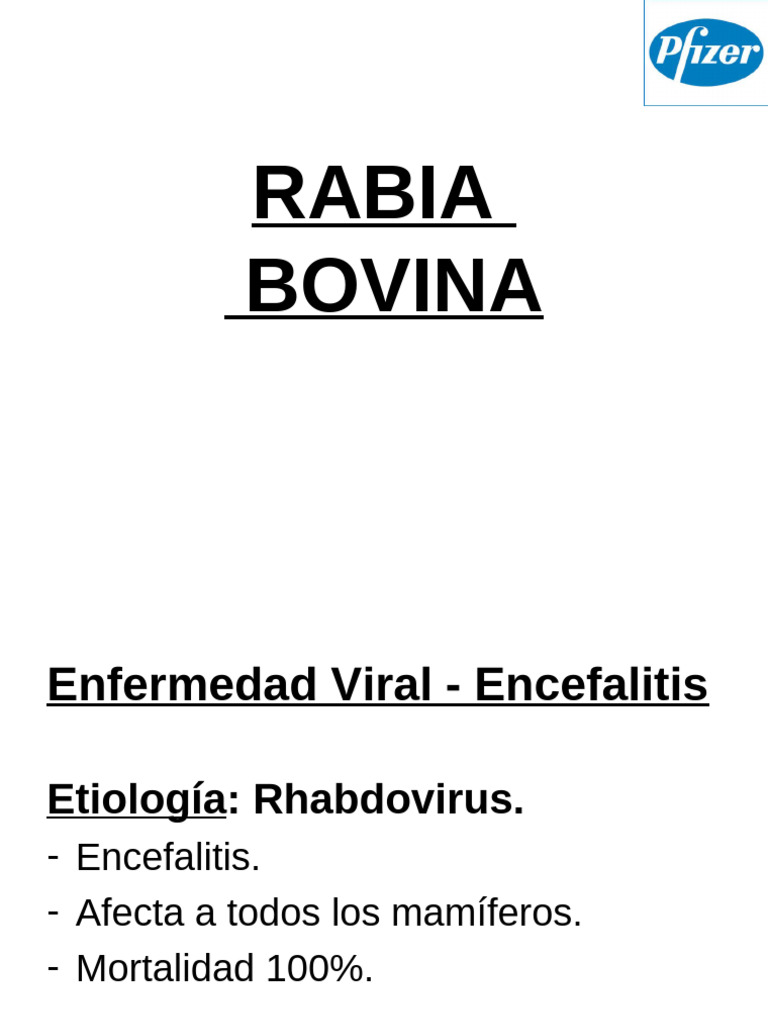 Exposicion Rabia Defensor | PDF