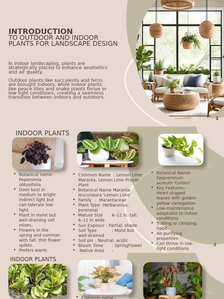 Indoor and Outdoor Plant Guide | PDF | Leaf | Gardens