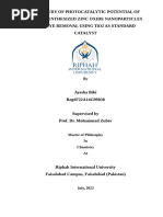 1-s2.0-S0360128523000394-main | PDF | Energy Storage | Heat
