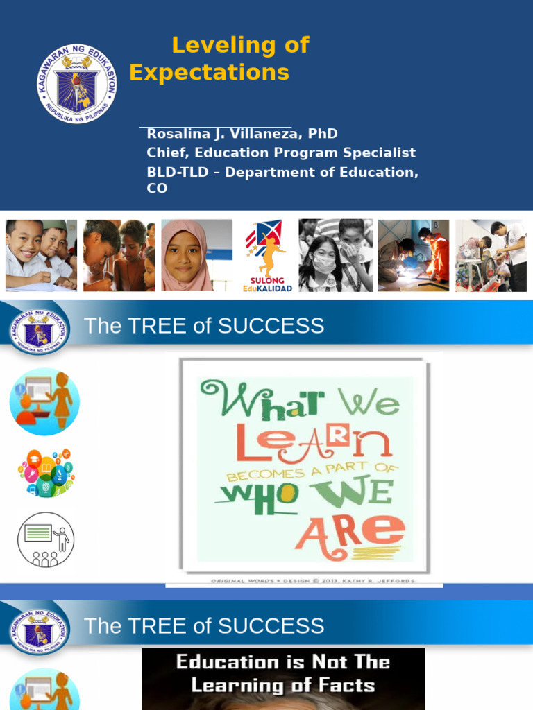 Leveling Expectations in Education | PDF