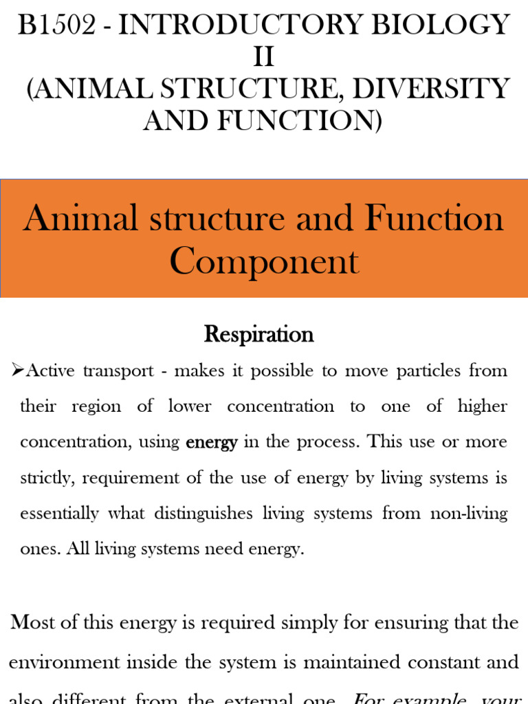 BIOLOGY II - Lecture 7 and 8 | PDF | Cellular Respiration | Adenosine ...