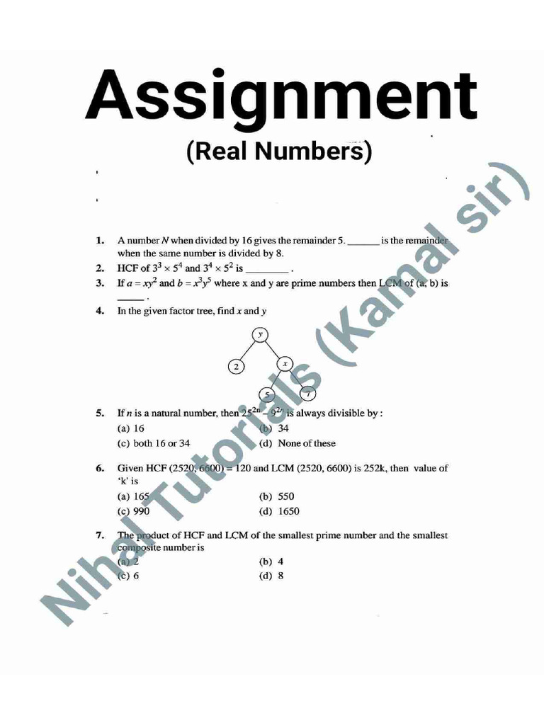 Real Numbers (Assignment) | PDF