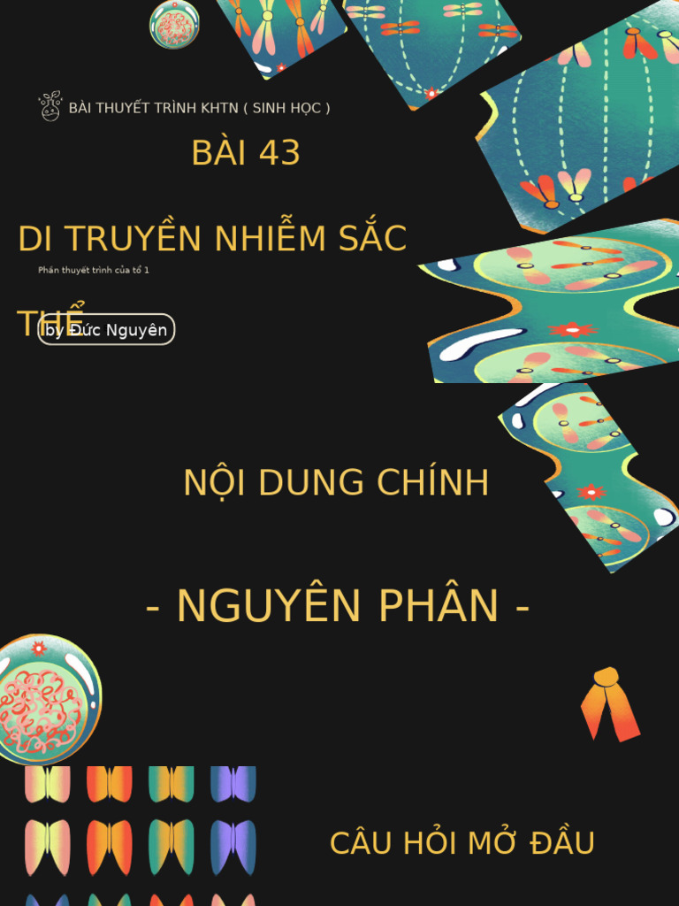 Nguyên Phân - Đ C Nguyn | PDF