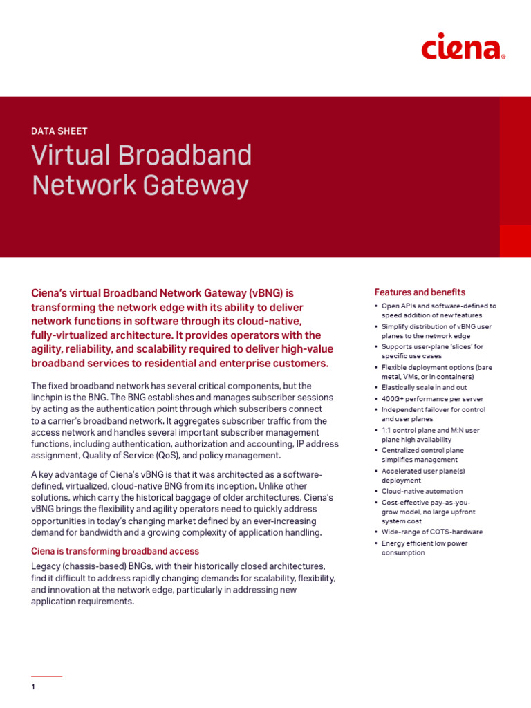 Virtual Broadband Network Gateway DS | PDF | I Pv6 | Computer Network