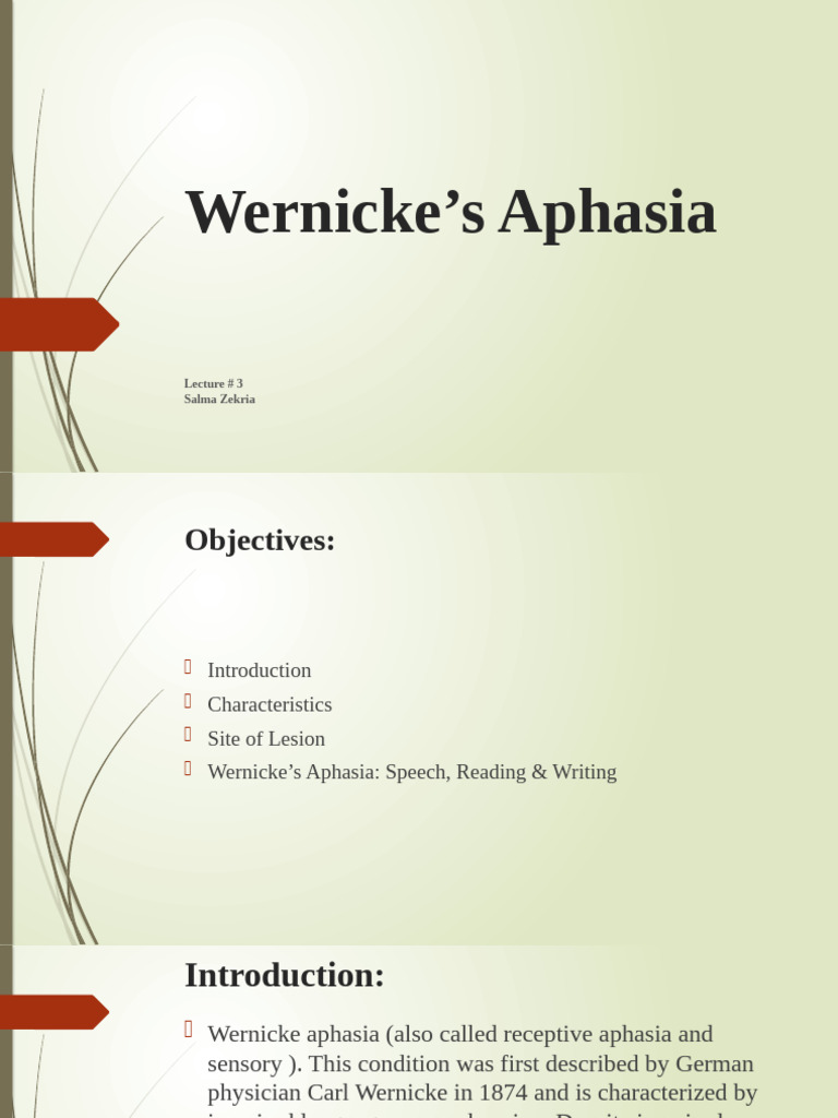 Speech and Language Therapy Notes | PDF | Speech | Aphasia