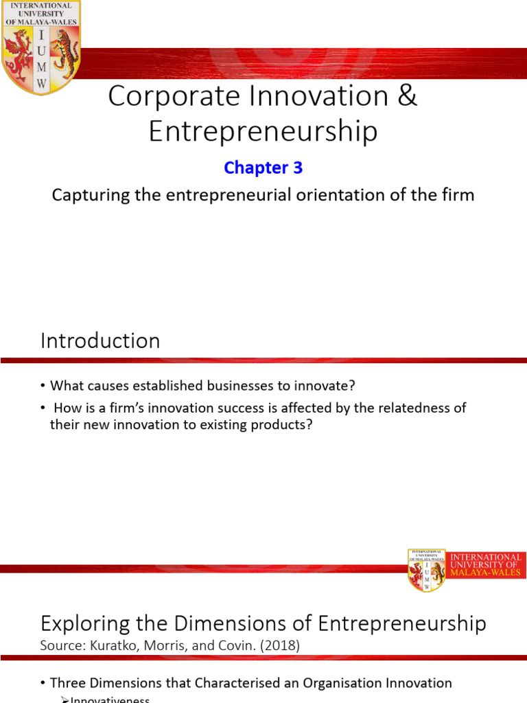 Chapter 3 Capturing The Entrepreneurial Orientation of The Firm | PDF ...
