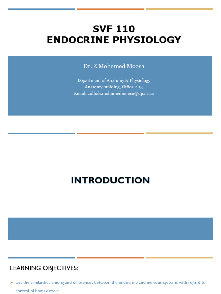 Endocrine System Overview and Functions | PDF | Thyroid | Pituitary Gland