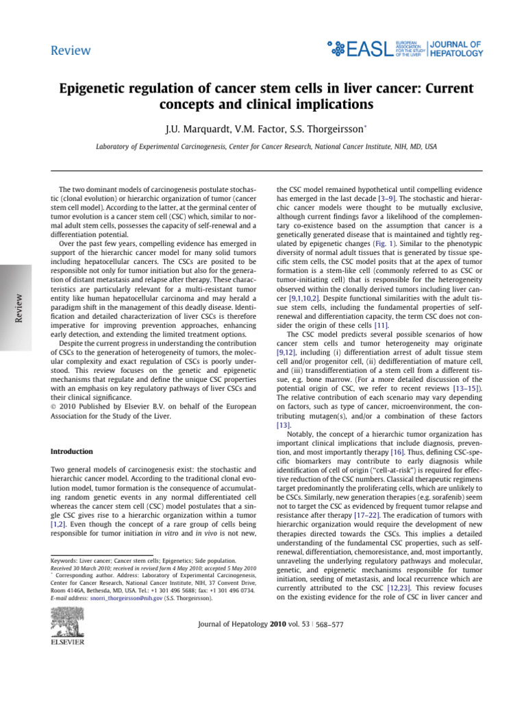 Epigenetic Regulation of Cancer Stem Cells in Live | PDF | Myc | Metastasis