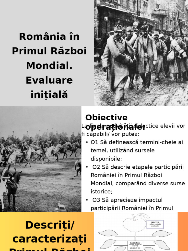 Romania in Primul Razboi Mondial | PDF
