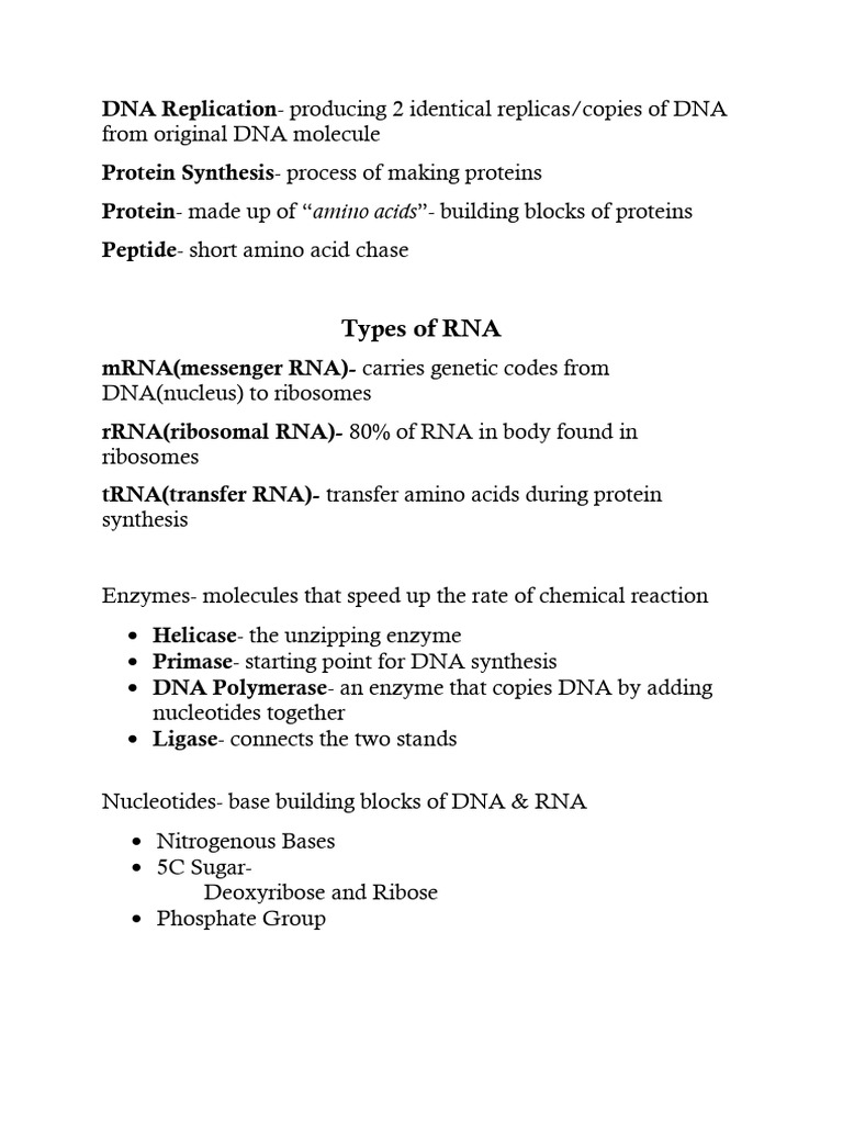 DNA Replication and Protein Synthesis Guide | PDF | Rna | Dna