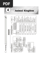Class 11 Animal Kingdom Overview | PDF | Sponge | Biology