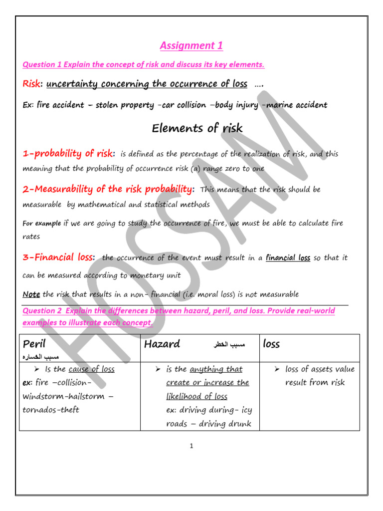 Understanding Risk: Key Elements Explained | PDF | Risk