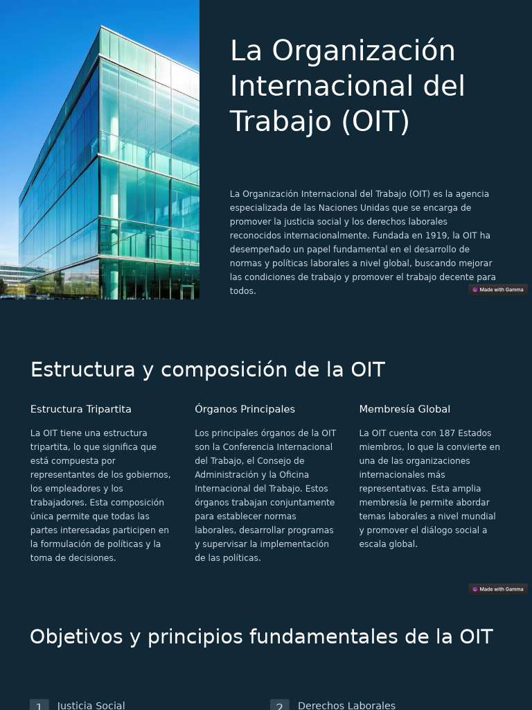Estructura y Objetivos de la OIT | PDF | Organización Internacional del ...
