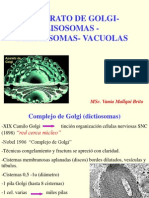 Aparato de Golgi, Lisosomas, Vacuolas, Peroxisomas