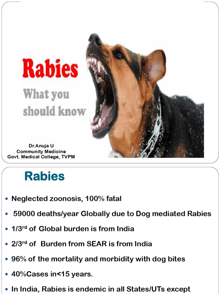 Understanding Rabies: Causes, Risks, and Prevention | PDF | Human ...
