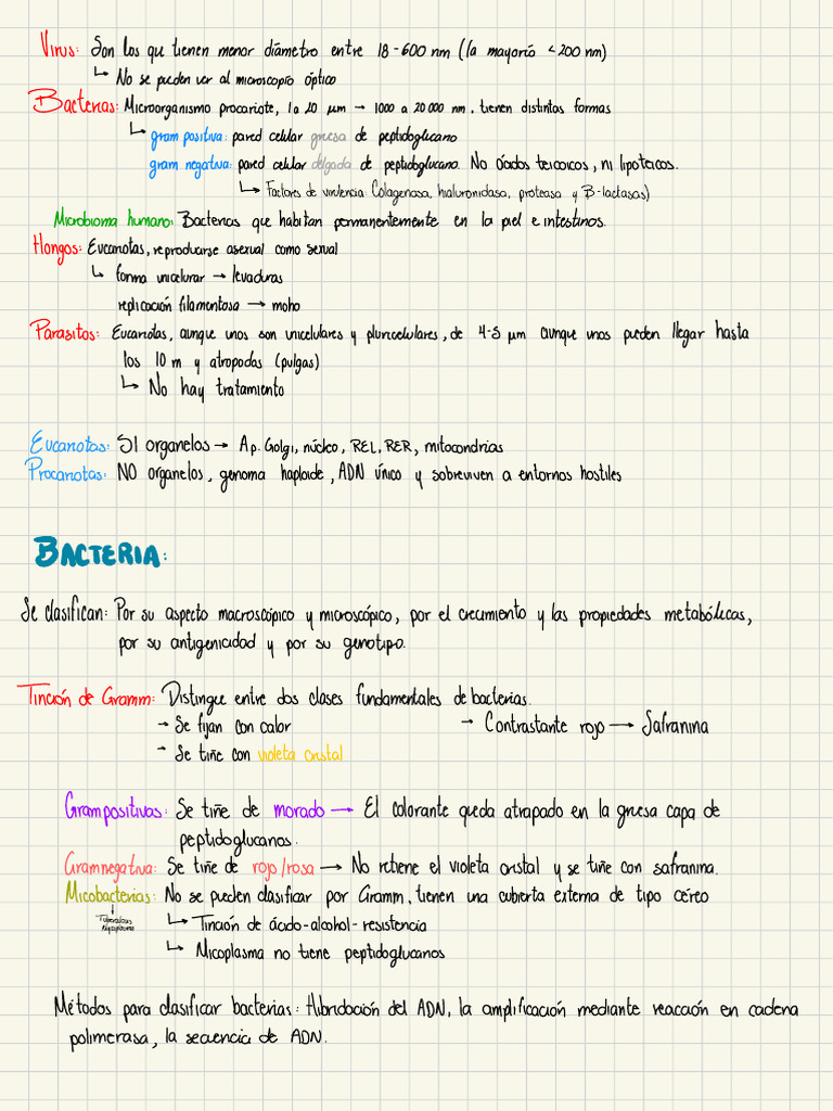 Hongos: Distingue | PDF | Las bacterias | Bacterias Gram Positivas