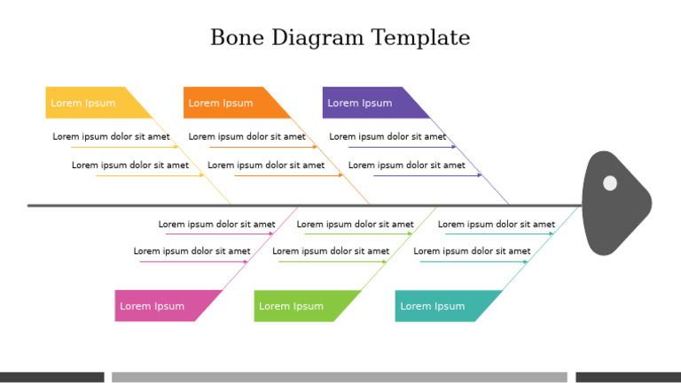 703339-Bone Diagram Template | PDF