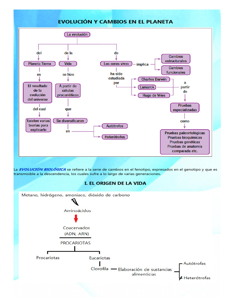 Evolución y Teorías de la Vida | PDF | Evolución | Seleccion natural