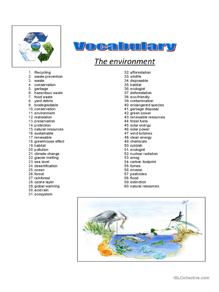 Vocabulary About Environment 72013 1 Đã G P | PDF