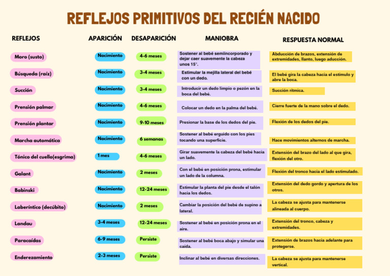 Reflejos del Recién Nacido | PDF