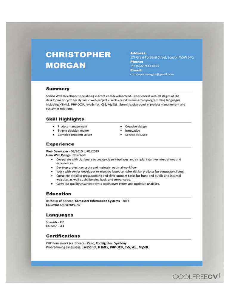 CV Template 06 | PDF
