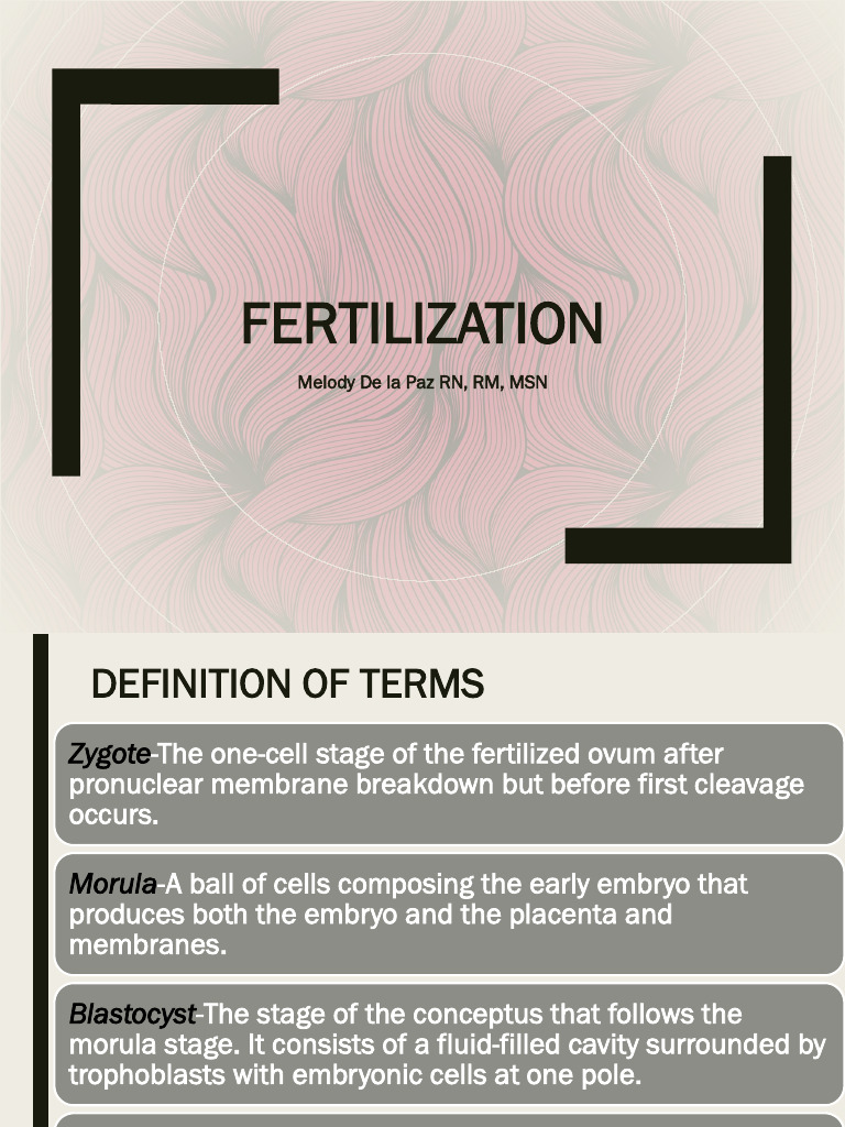 Understanding Fertilization and Embryo Development | PDF | Placenta | Fetus